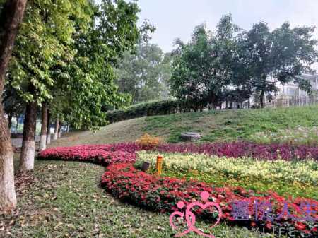 老婆要离婚是变心了(一个十全十美的贤妻要与丈夫离婚) 老婆要离婚是变心了(一个十全十美的贤妻要与丈夫离婚)