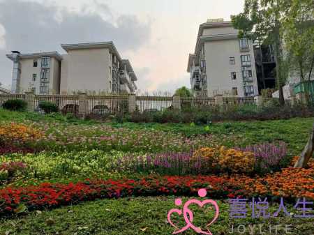 老婆要离婚是变心了(一个十全十美的贤妻要与丈夫离婚) 老婆要离婚是变心了(一个十全十美的贤妻要与丈夫离婚)