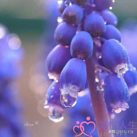 写给好朋友的话暖心（温暖别人的朋友圈说说心情短语）