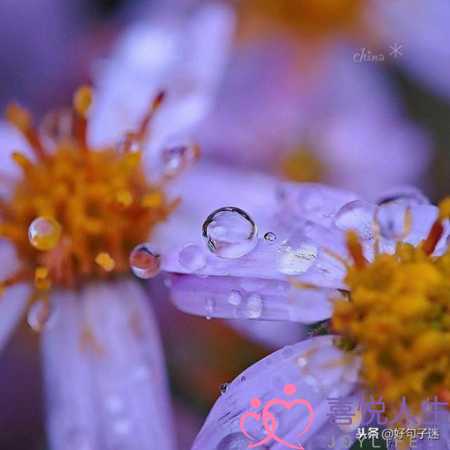 写给好朋友的话暖心（温暖别人的朋友圈说说心情短语）