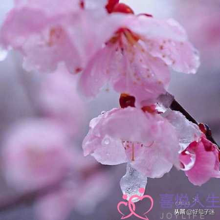 写给好朋友的话暖心（温暖别人的朋友圈说说心情短语）