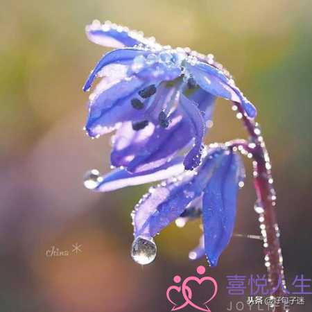 写给好朋友的话暖心（温暖别人的朋友圈说说心情短语）