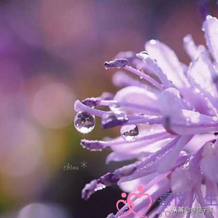 写给好朋友的话暖心（温暖别人的朋友圈说说心情短语）