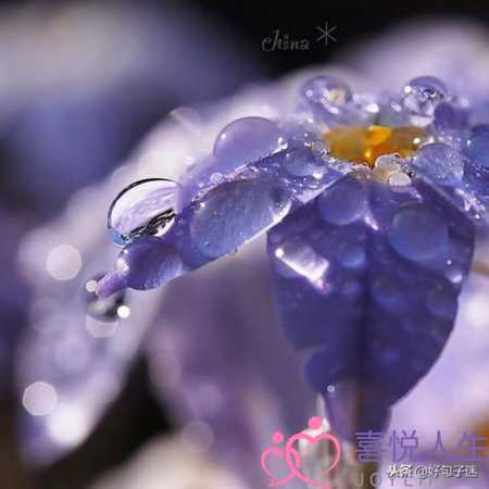 写给好朋友的话暖心（温暖别人的朋友圈说说心情短语）