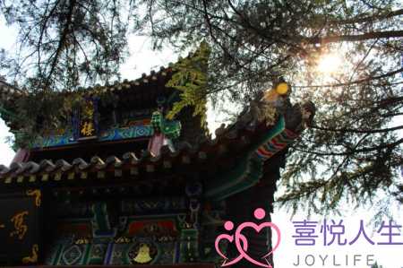 描写夏天的美景短句（这些描写夏天的好句子）