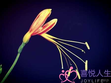 想发一条有内涵的说说（有内涵有深意的朋友圈说说）