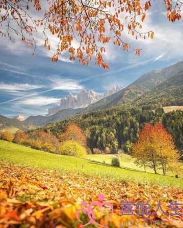 失眠感言（深夜失眠感悟人生的经典句子）