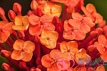 金牛座男生的性格