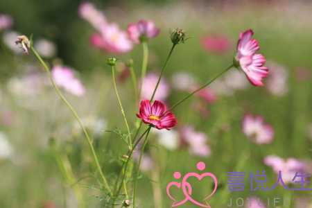 金牛座男生的性格