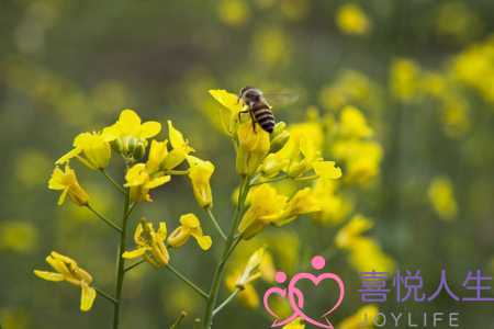 金牛座男生的性格