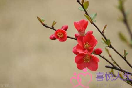 图片[2]-婚后遇到彼此心动的人，已婚遇见心动的人-泡学网-喜悦人生,挽回婚姻,分手挽回,经验婚姻,情感挽回,情感咨询,分离小三,泡学书籍