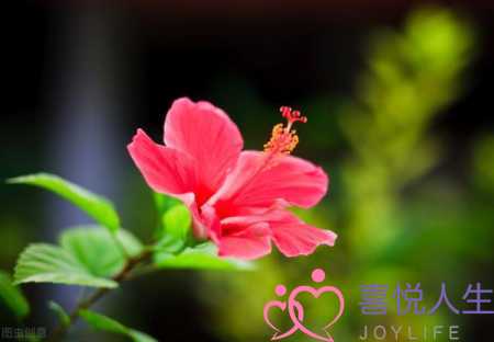 图片[1]-婚后遇到彼此心动的人，已婚遇见心动的人-泡学网-喜悦人生,挽回婚姻,分手挽回,经验婚姻,情感挽回,情感咨询,分离小三,泡学书籍