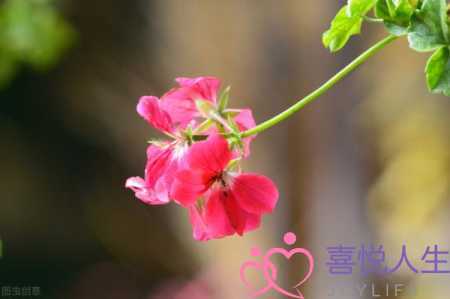 图片[4]-婚后遇到彼此心动的人，已婚遇见心动的人-泡学网-喜悦人生,挽回婚姻,分手挽回,经验婚姻,情感挽回,情感咨询,分离小三,泡学书籍