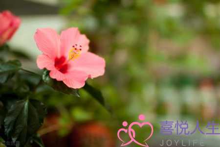 图片[3]-婚后遇到彼此心动的人，已婚遇见心动的人-泡学网-喜悦人生,挽回婚姻,分手挽回,经验婚姻,情感挽回,情感咨询,分离小三,泡学书籍